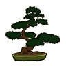 Bonsai Bonsai