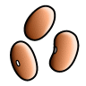 Common Beans Common Beans