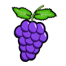 Grapes Grapes