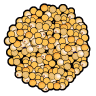 Mustard Seeds Mustard Seeds